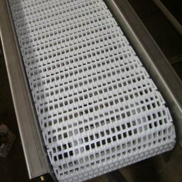 塑鋼網(wǎng)帶輸送機-5